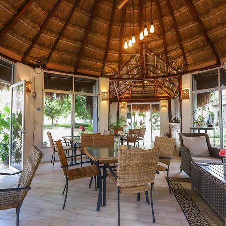 Mayan Secret Hotel Boutique Chetumal Exterior foto
