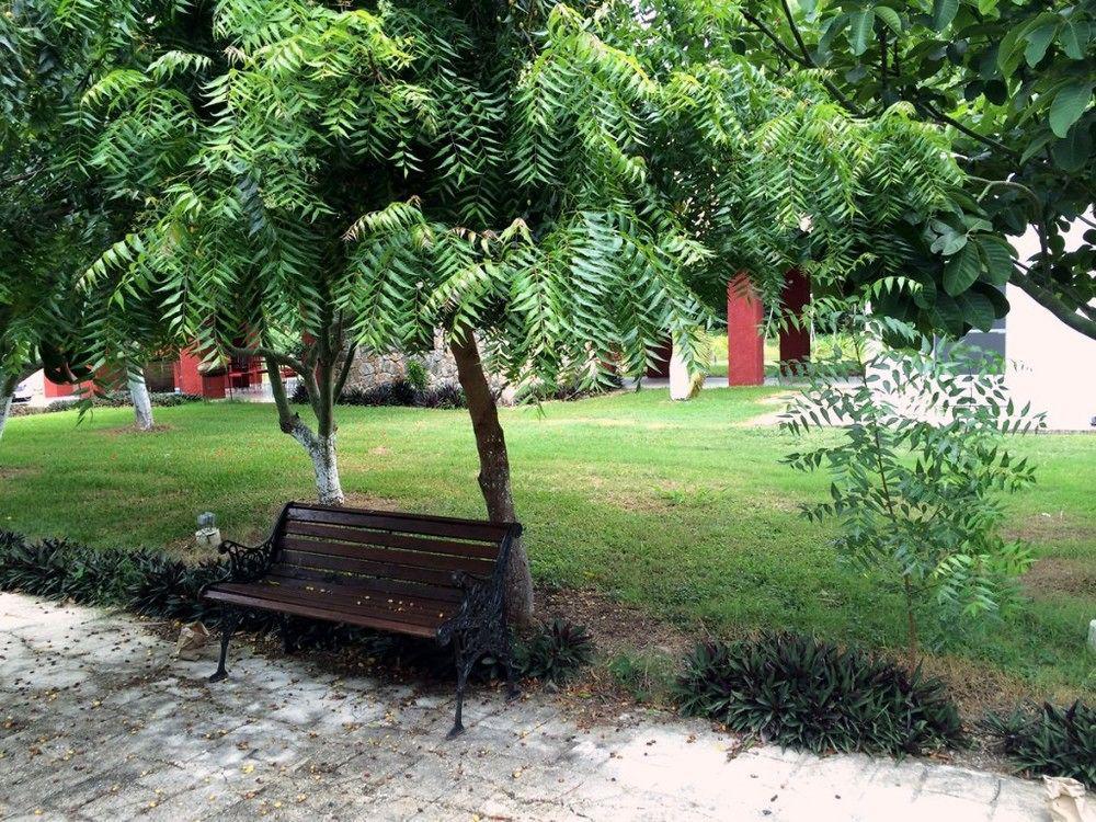Mayan Secret Hotel Boutique Chetumal Exterior foto